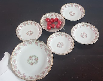 リモージュ磁器 ディナープレート 1枚、紫の花、GDAフランス、CH