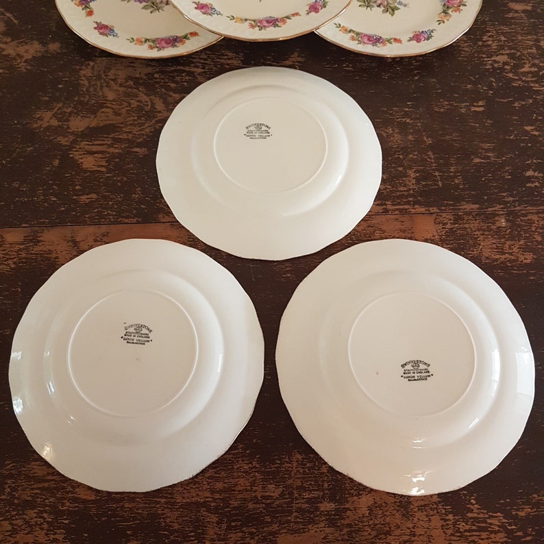 Swinnertons Dinner Plate Sets of 2, Luxor Vellum, Reg No 837606, Pattern SWI139, Vintage English Transferware, Floral China Plates, 1940 image 9
