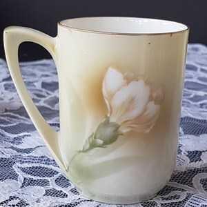 May include: A cream-colored ceramic mug with a gold rim and a delicate floral design. The flower is a white carnation with a green stem and leaves.