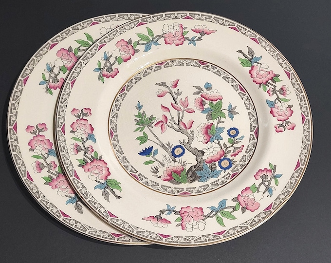 Vintage J&G Meakin Indian Tree Dinner Plates Set of 2 Chinoiserie England Cottagecore Dinnerware