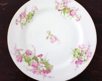 4pc Vintage Limoges Pink Floral Porcelain Dessert Plate Set