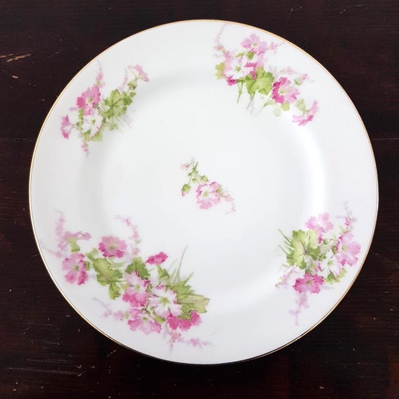 4pc Vintage Limoges Pink Floral Porcelain Dessert Plate Set