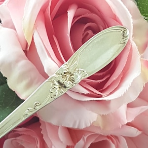 May include: A silver spoon with floral detailing, set against a backdrop of pink roses. The spoon's design features intricate floral patterns. The overall aesthetic is delicate and elegant. The spoon is made of silver.