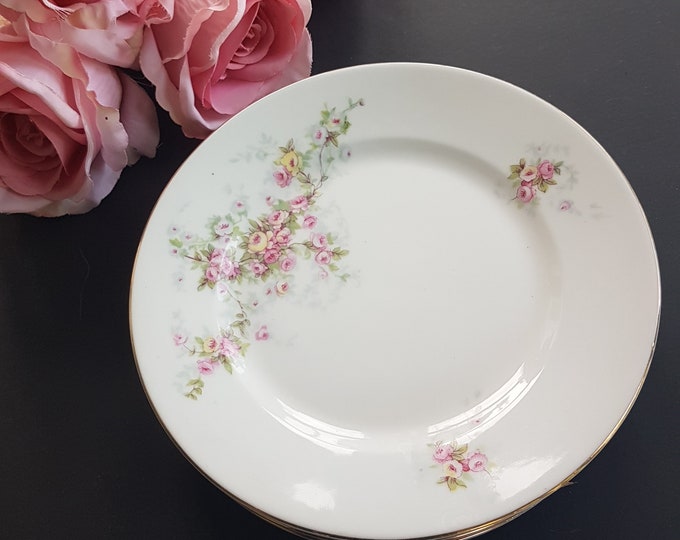 Dessert Plates, Victoria China Czechoslovakia, Pink Yellow Roses, 7 Inch, Set of 6, Bohemian Porcelain