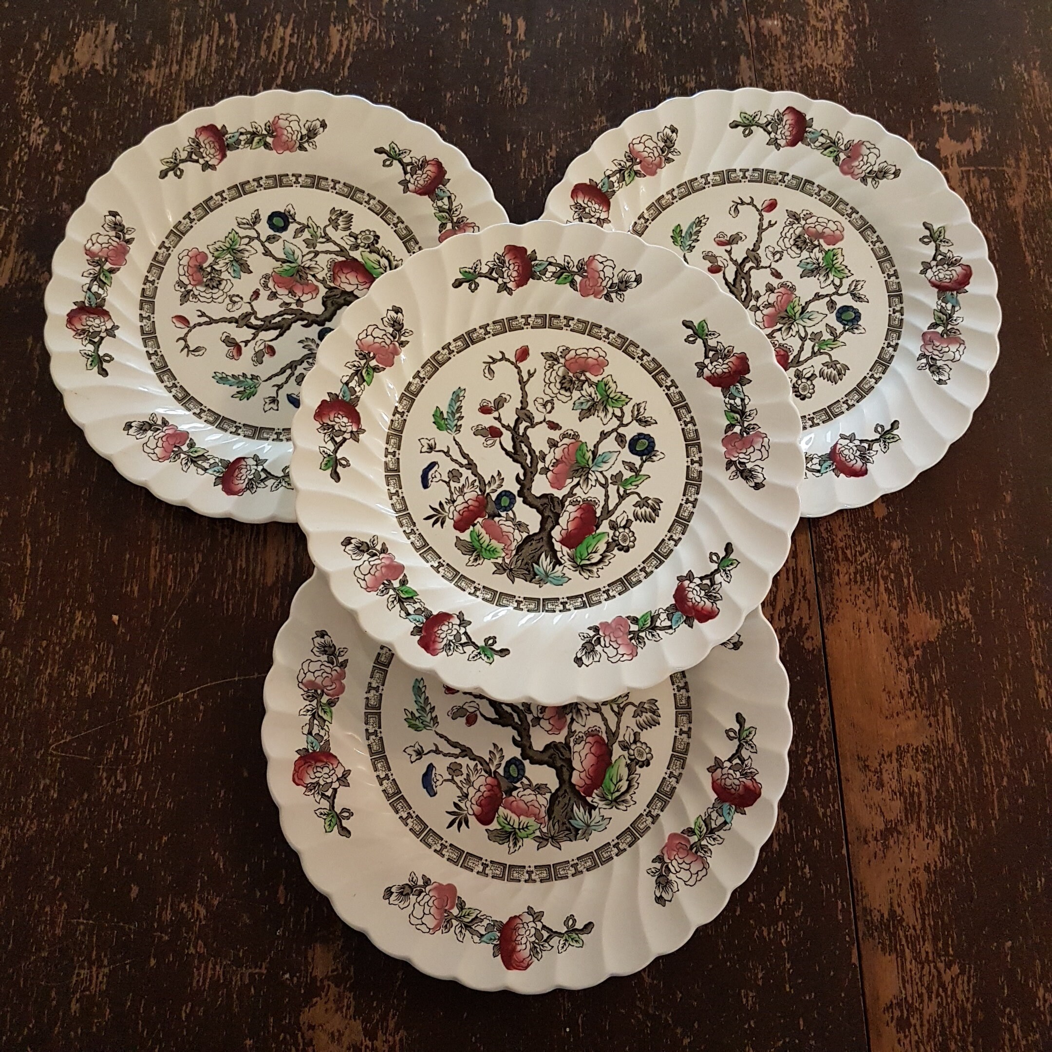 9 3/4 Myott INDIAN TREE Dinner Plate Set of 4, No Green Border, on Cream, Scalloped Edge