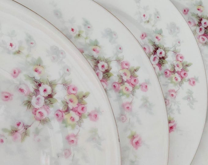 Vintage 1940s Czechoslovakia Porcelain Dessert Plates Set of 5 Pink Floral Victoria China