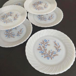 May include: A collection of white ceramic plates with a spiral edge design. Each plate features a central floral pattern in brown and blue. The plates are arranged on a dark surface, showcasing their vintage aesthetic.