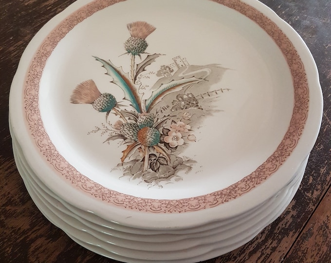 10 Inch Dinner Plates, Crown Ducal BLINK BONNIE, Sets of 2, Scottish Thistle, Scotland Castle, Made in England, English Ironstone, 1970s