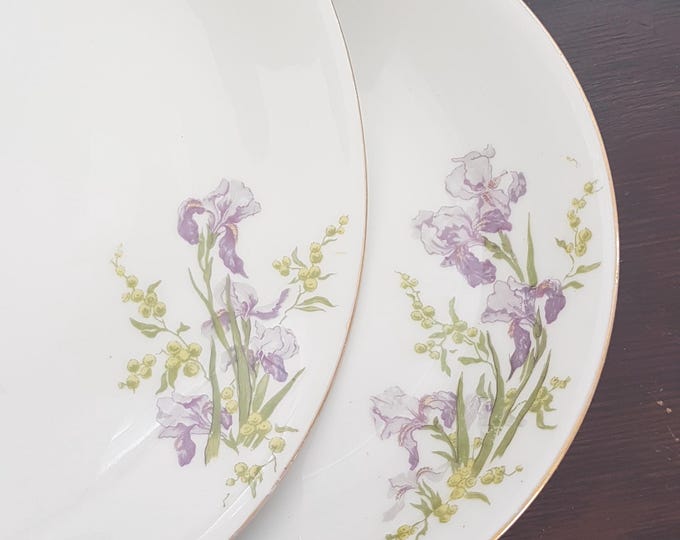 4pc Limoges Porcelain Pasta Coupe Bowls with Purple Iris Flowers