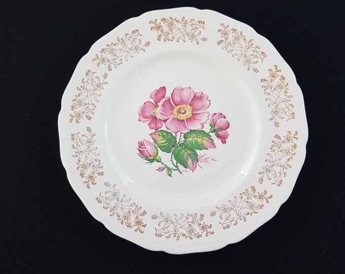 Vintage Dinner Plate Set by Royal Abbey, Staffordshire England, Pink Roses, Pattern RXA1