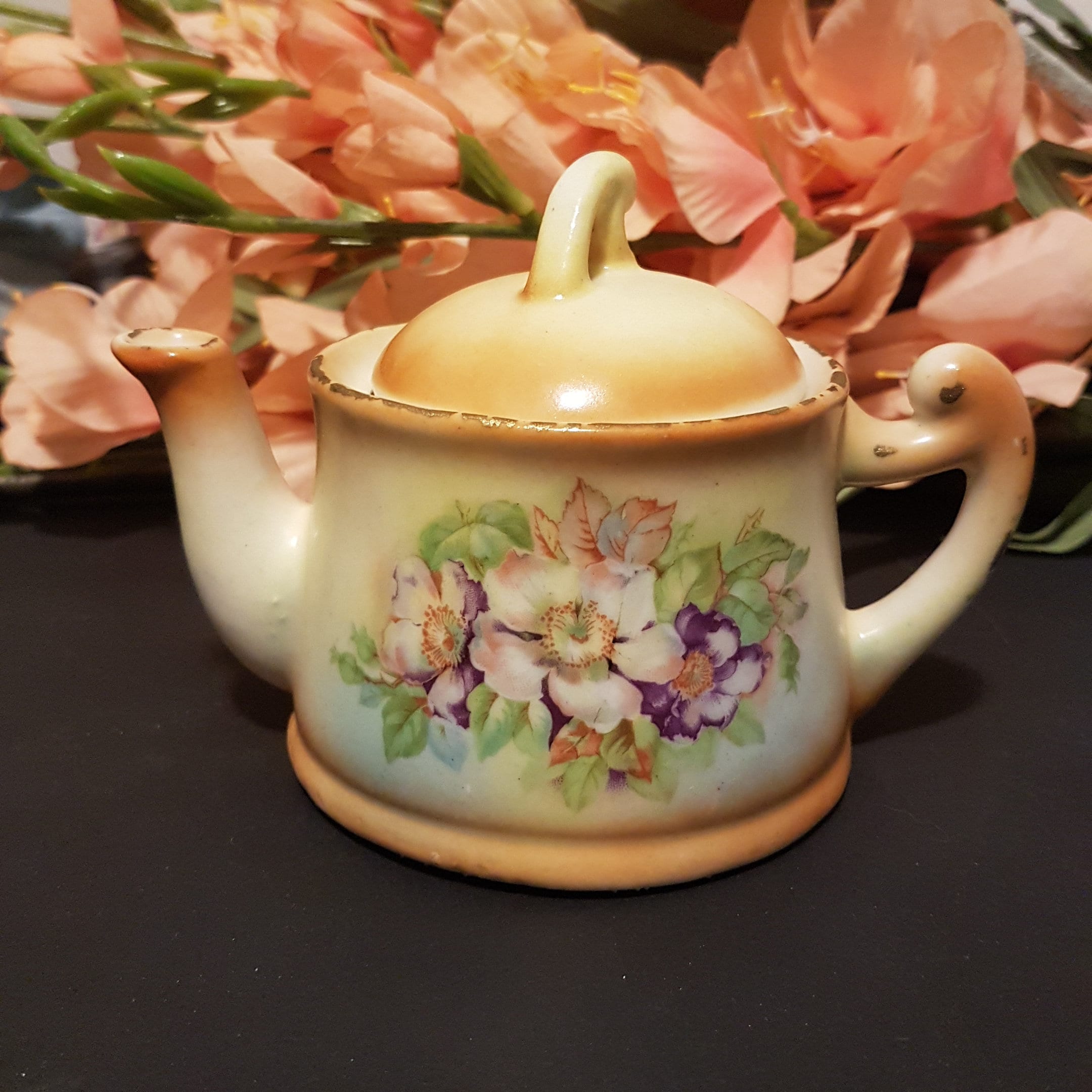 Czechoslovakian Teapot, Personal Size, 1 Cup Capacity, Hand Painted