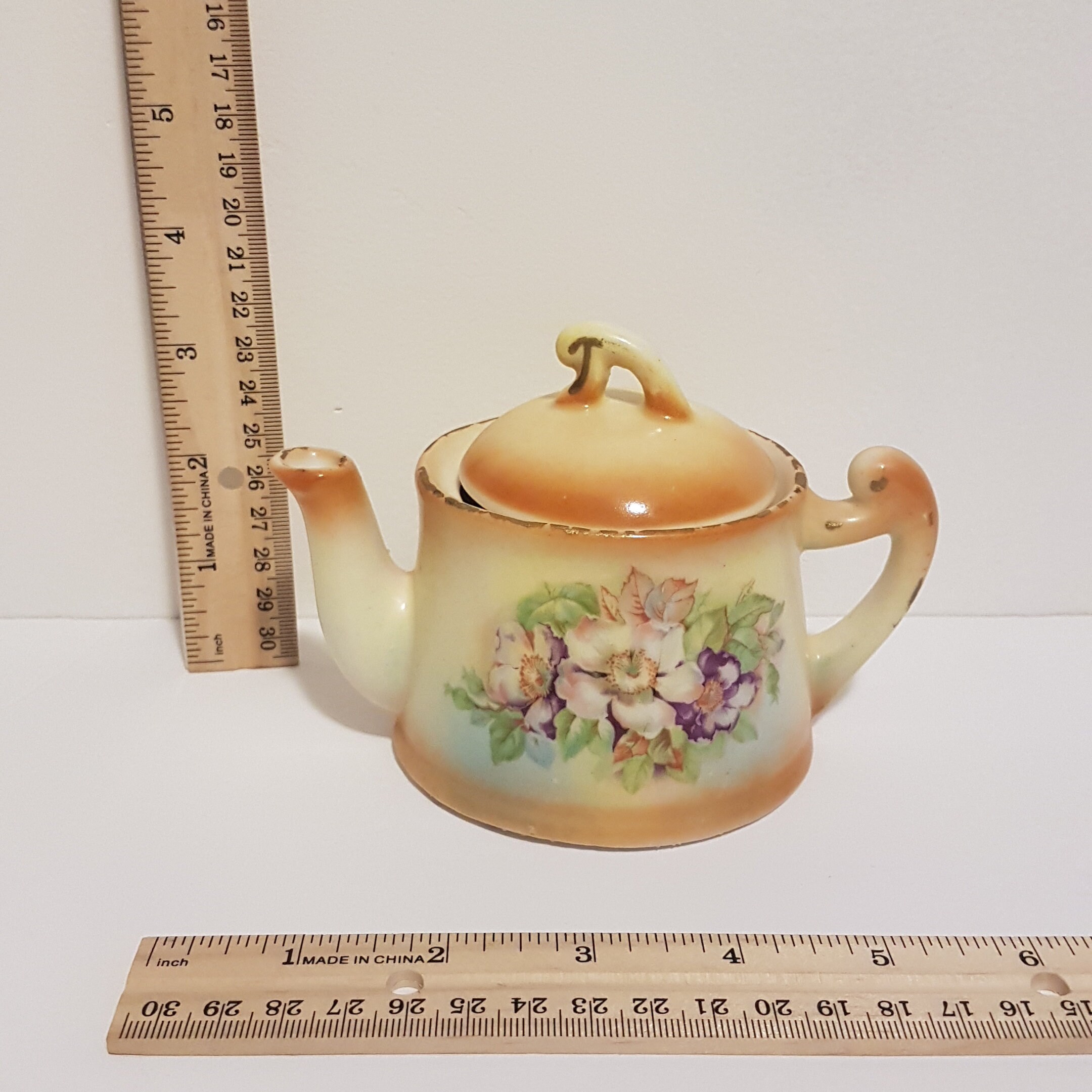 Czechoslovakian Teapot, Personal Size, 1 Cup Capacity, Hand Painted