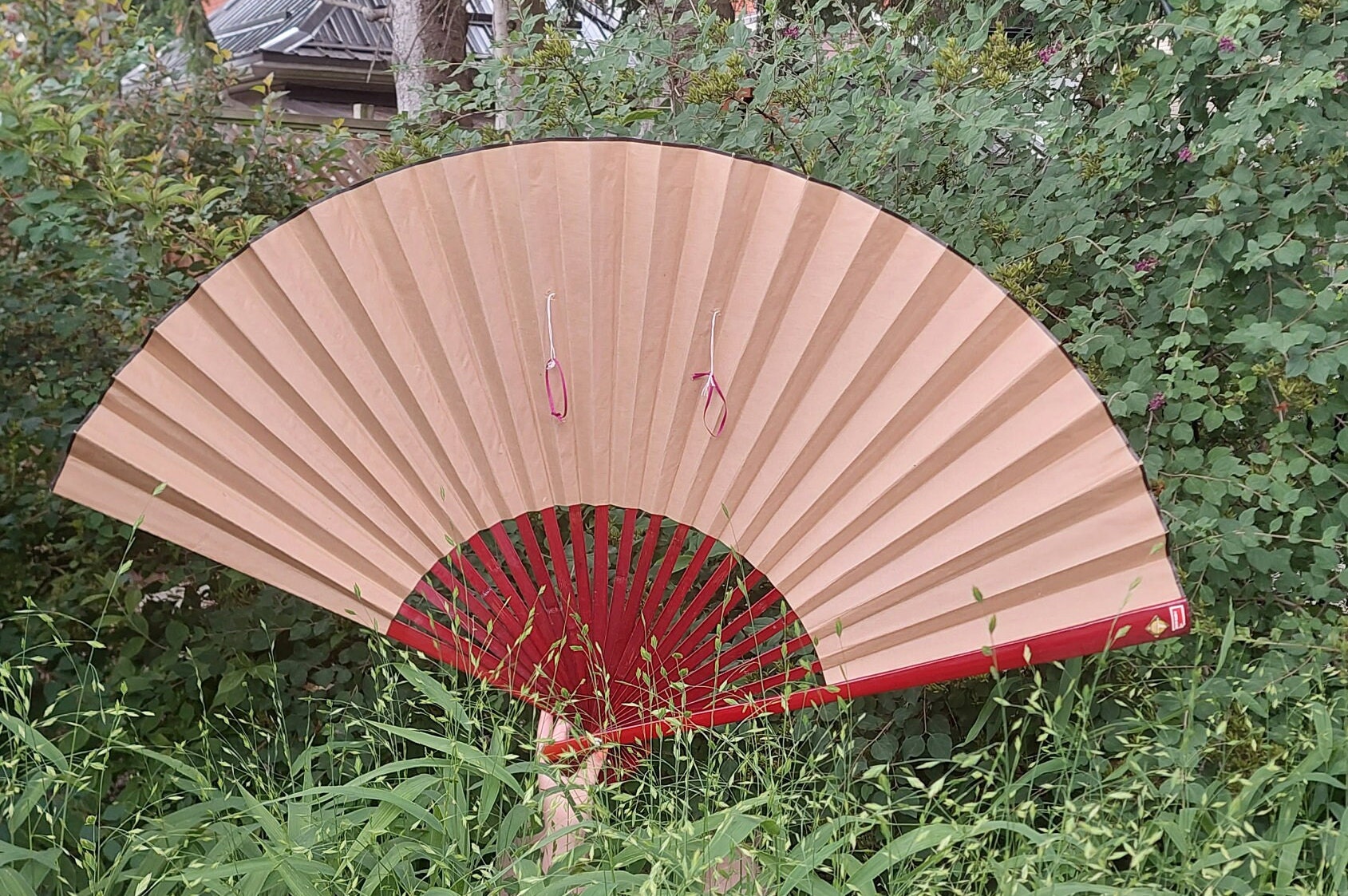 Vintage Large Japanese Decorative Wall Fan, Hand Painted Peacocks and