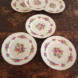 Swinnertons Dinner Plate Sets of 2, Luxor Vellum, Reg No 837606, Pattern SWI139, Vintage English Transferware, Floral China Plates, 1940 image 8