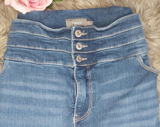 Vintage Women Blue Jeans Plus Size 2X - Size 20