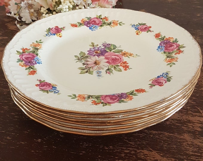 Swinnertons Dinner Plate Sets of 2, Luxor Vellum, Reg No 837606, Pattern SWI139, Vintage English Transferware, Floral China Plates, 1940+