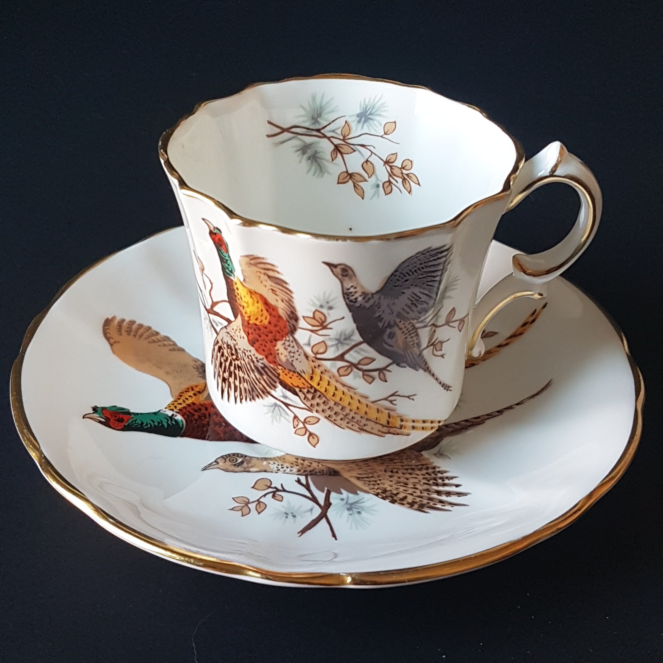 Tea Cup and Saucer, Pheasants Birds, Vintage Hammersley Pattern 5538