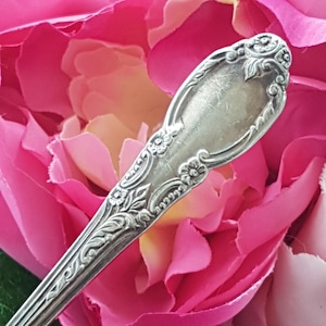 May include: Close-up of a silver spoon with detailed floral and leaf patterns. The spoon's bowl is oval-shaped. The handle and bowl are decorated with delicate floral designs. The spoon is set against a backdrop of pink fabric.