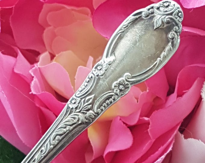 1881 Rogers Oneida ENCHANTMENT Silver Plated Soup Spoon 5pc Set