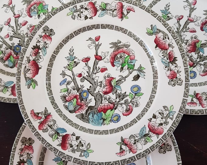 Johnson Brothers Indian Tree 9" Luncheon Plates