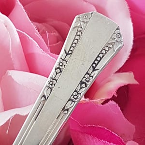 May include: Close-up of a silver utensil with floral and dot detailing. The utensil has a rectangular handle with a decorative floral design on the edges. The background is a soft pink, suggesting a floral arrangement.