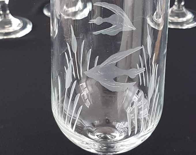 Etched Tropical Angel Fish Beer Glasses, Set of 4