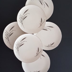 Dinner Plates, HARVEST TIME, Society Fine China, Fine Arts China, 10.75 Inch, Set of 6, Made in USA