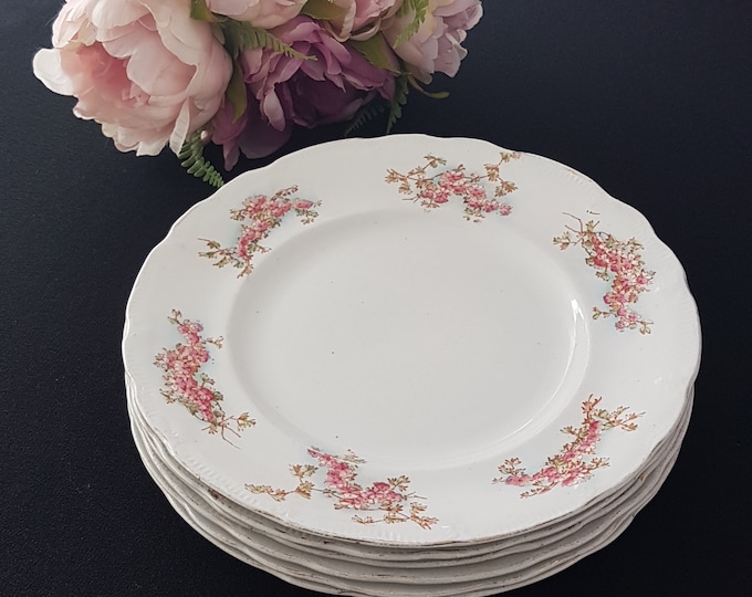 Antique Plates, Upper Hanley Pottery, 7.75 Inch, Branches of Pink Flowers Transferware, Set of 6 Dessert Plates, England, 1895-1900