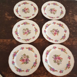 Swinnertons Dinner Plate Sets of 2, Luxor Vellum, Reg No 837606, Pattern SWI139, Vintage English Transferware, Floral China Plates, 1940 image 5