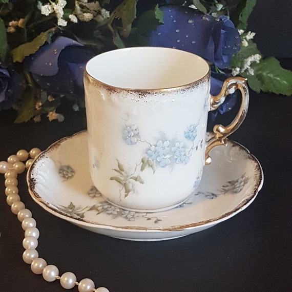Antique Rosenthal Teacup and Saucer: Hand-Painted Floral Bone China
