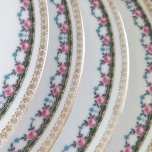 Può includere: Primo piano di diversi piatti di porcellana bianca con un motivo floreale. I piatti presentano un motivo di rose rosa e fiori blu, con un bordo dorato e verde. I piatti sono disposti a semicerchio.