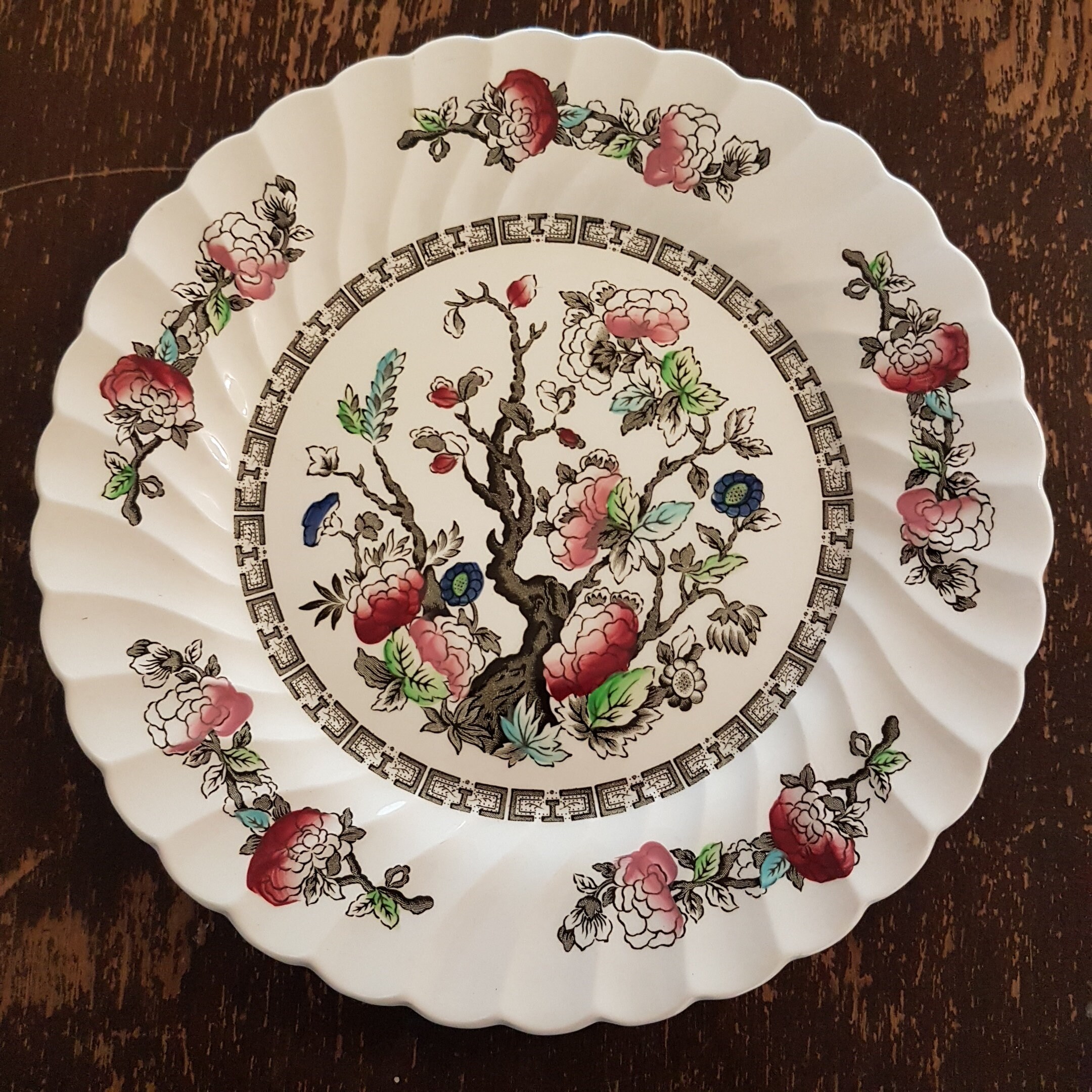 9 3/4 Myott INDIAN TREE Dinner Plate Set of 4, No Green Border, on Cream, Scalloped Edge