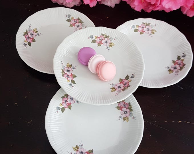Walbrzych Poland Porcelain Pink Floral Salad Plates (Set of 4)