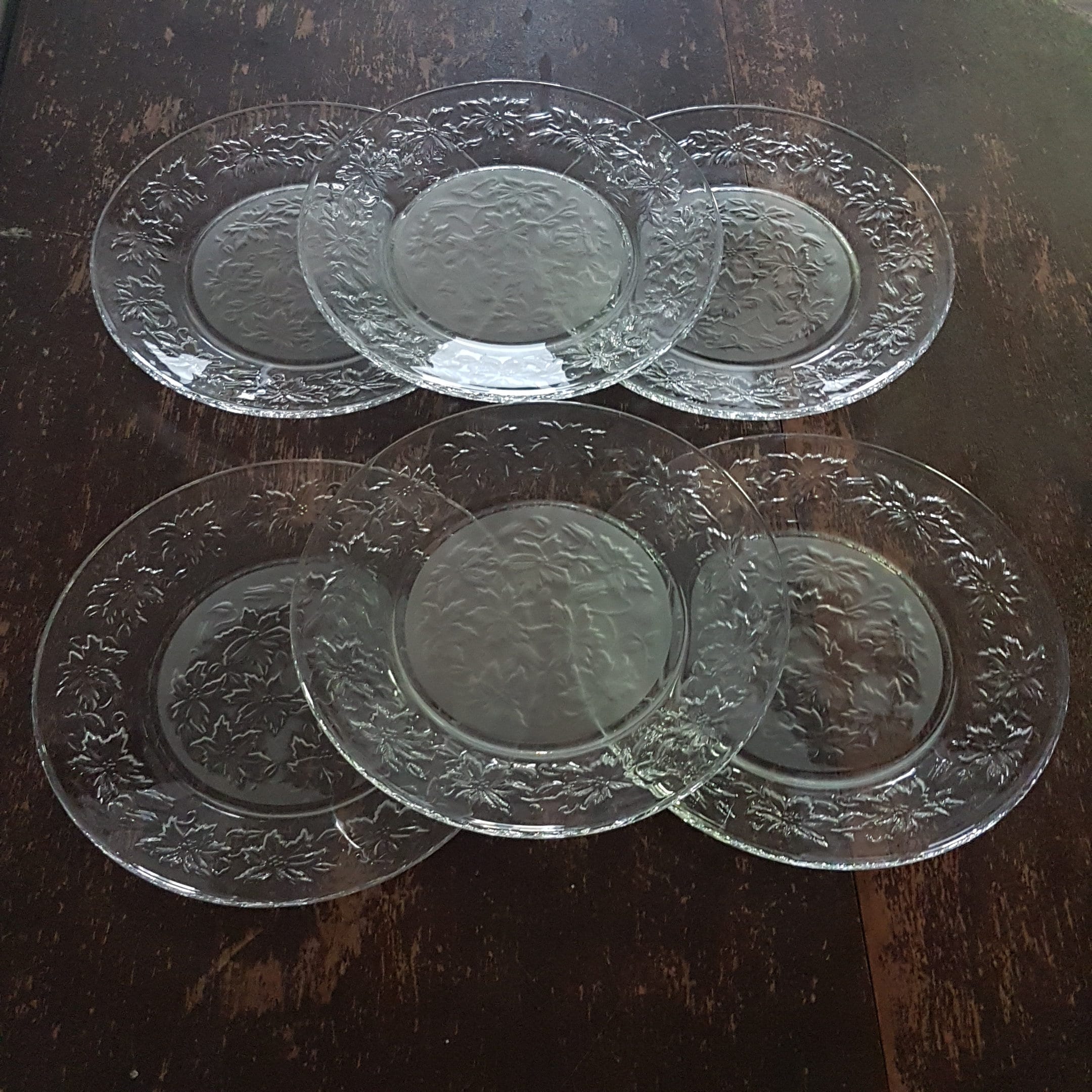 Princess House FANTASIA 10 Dinner Plate Set of 6, Clear & Frosted Glass