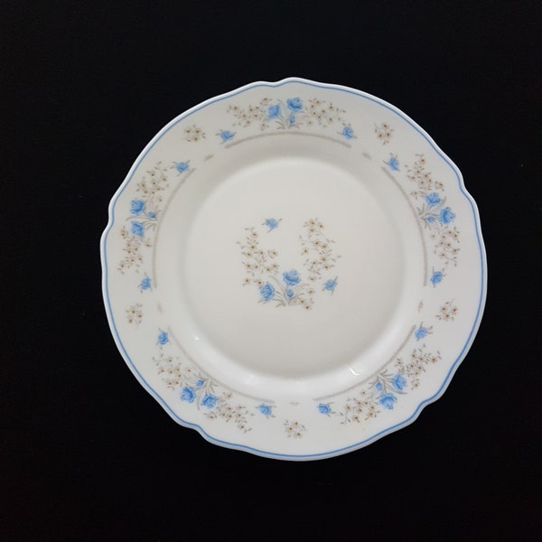 Arcopal ROMANTIQUE, 9.25 Inch Small Dinner Plates, Lunch Plates, Set of 2, Milk Glass Dinnerware, Blue Rose Flowers, Made in France