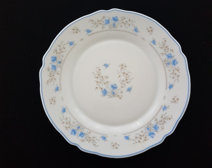 Arcopal ROMANTIQUE, 9.25 Inch Small Dinner Plates, Lunch Plates, Set of 2, Milk Glass Dinnerware, Blue Rose Flowers, Made in France