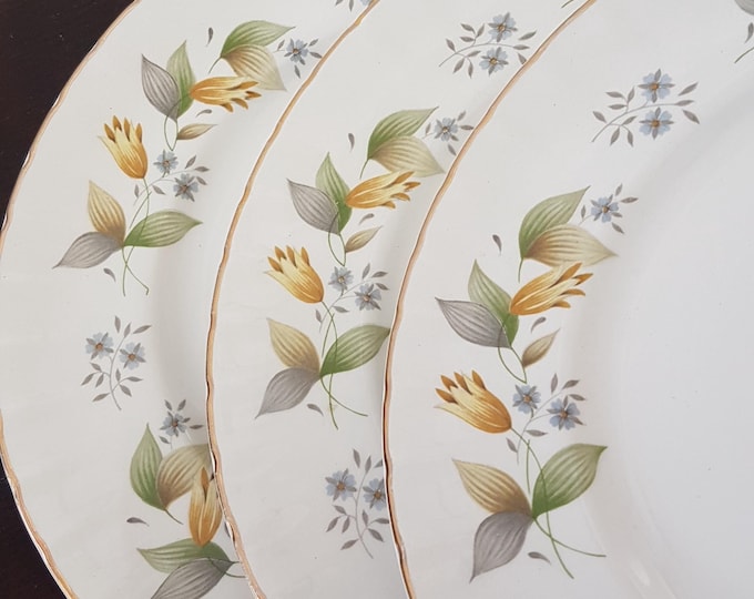 3pc Ridgway Susanne White Mist Ironstone Salad Plates, Made in England