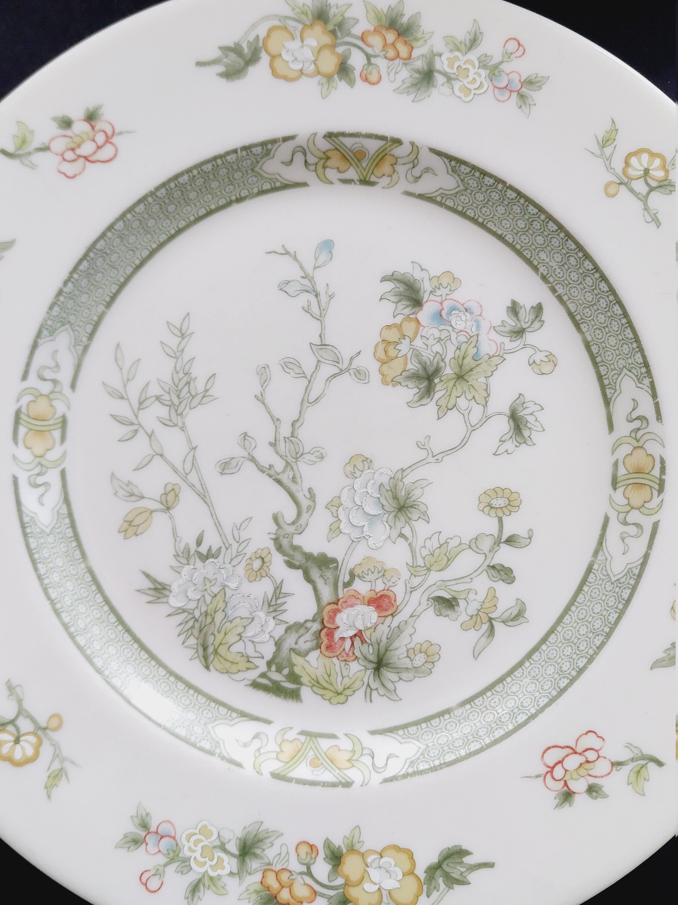 Salad Plates, Royal Doulton TONKIN TC1107, Green Indian Tree, 8 Inch