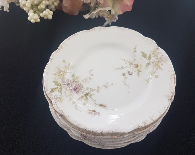 Antique Porcelain Dessert Plates, Set of 6 Zeh Scherzer Bavaria, 5 inch Floral Plates, Made in Germany 1800s