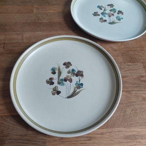 May include: Two white ceramic plates with a floral design. Each plate features a cluster of stylized flowers in shades of brown, blue, and green. The rims are bordered with a green band. The plates are on a wooden surface.