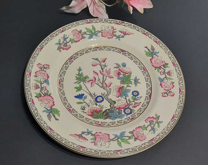 J&G Meakin INDIAN TREE, Set of 2 Dinner Plates, 10.75 Inch, Vintage Chinoiserie, Made in England