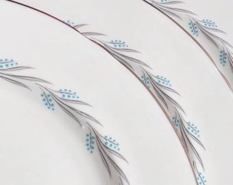 Lichfield Grey Mist English Bone China Dinner Plates Set of 4 - Blue Gray Silver