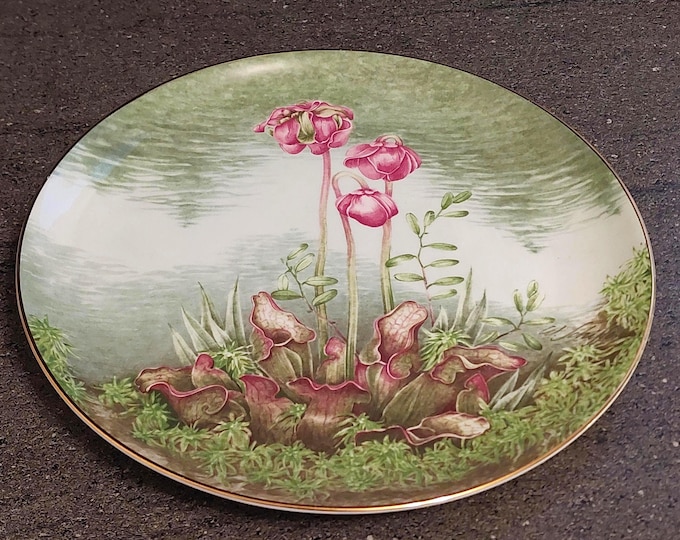Newfoundland Pitcher Plant Sunrise Bone China Collector Plate Provincial Territorial Floral Emblems Canada Souvenir
