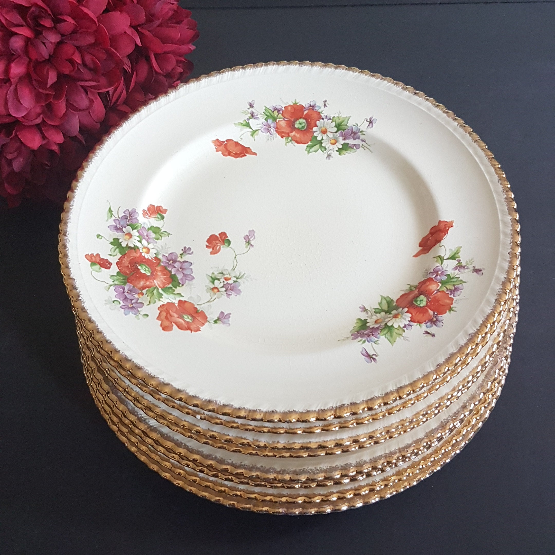 10 Dinner Plates Sovereign Potters Earthenware Sets of Etsy