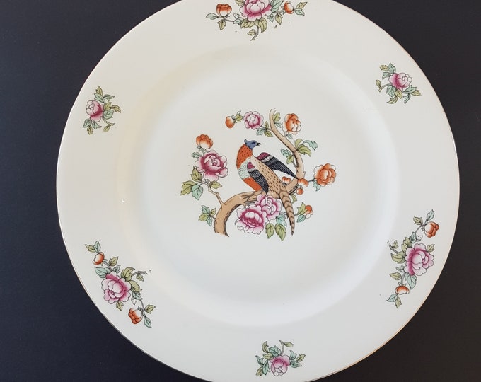 Dinner Plates, Antique MZ Altrohalau CMR Czechoslovakia, Pattern ALT57, Pheasant Bird, Pink Orange Flowers, Floral Rim, 9.75 Inch, Set of 4