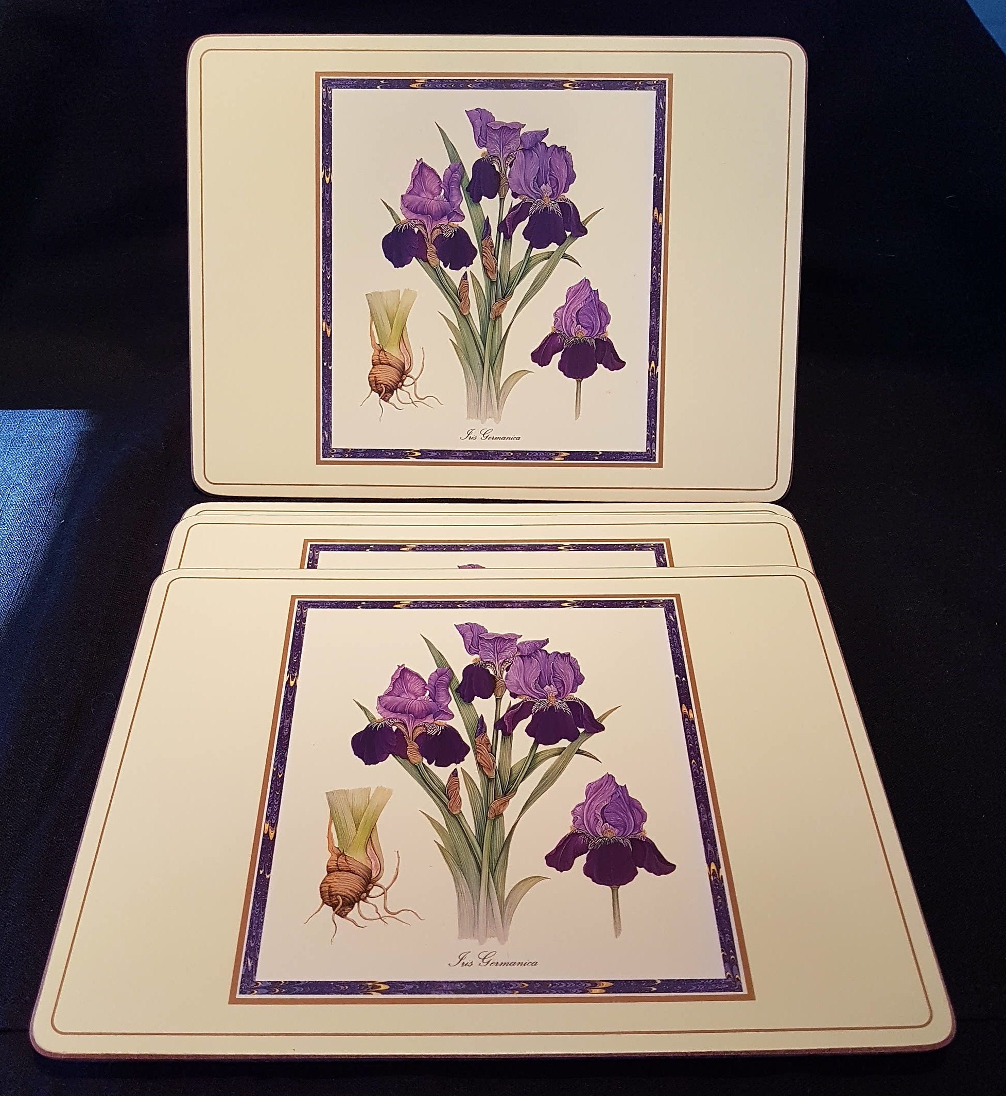 Vintage Pimpernel Corkbacked Placemats, Set of Four Iris Germanica