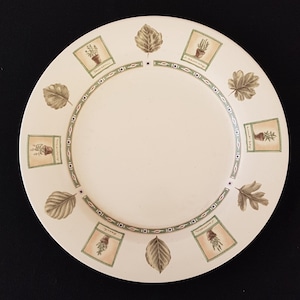 Pfaltzgraff Naturewood Portfolio Dinner Plate Stoneware Made in USA