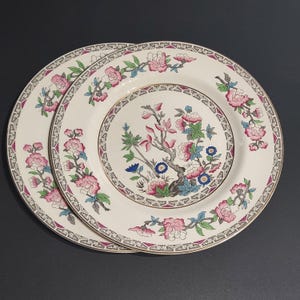 Vintage J&G Meakin Indian Tree Dinner Plates, Set of 2, Chinoiserie England
