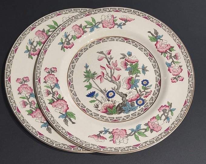 J&G Meakin INDIAN TREE, Set of 2 Dinner Plates, 10.75 Inch, Vintage Chinoiserie, Made in England