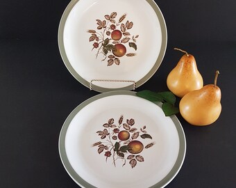 Alfred Meakin HEREFORD Dinner Plate, Set of 3, Fruit & Berries, Green Band Border, Ironstone, Made in England, Hand Engraving, 1960s